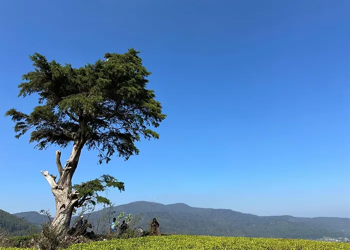 Cabin 7000 Feet Nuwaraeliya