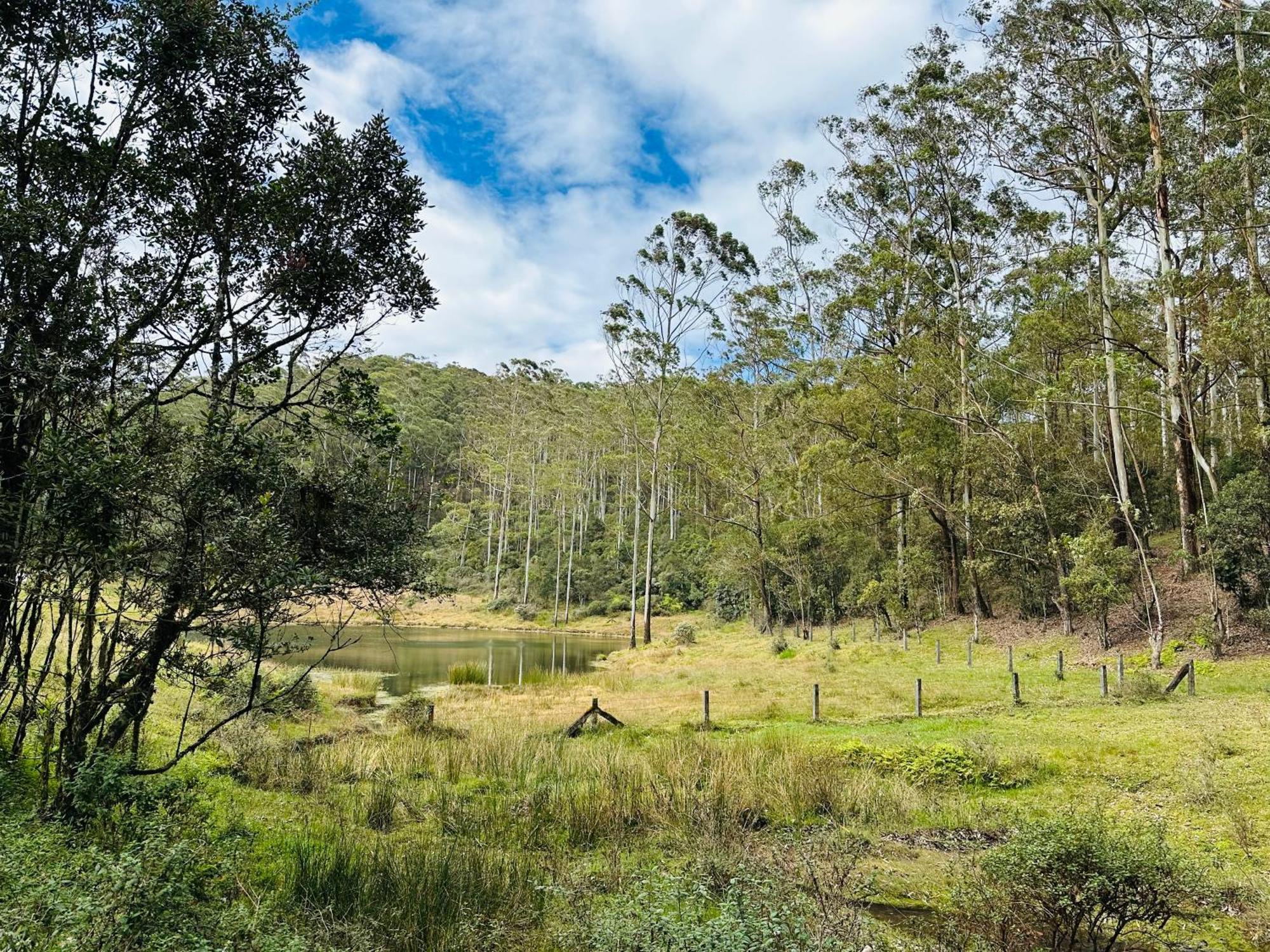 شاليه 7000 Feet Nuwaraeliya