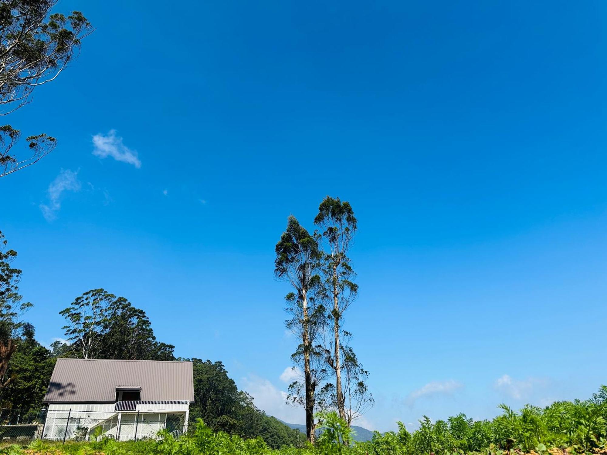 7000 Feet Nuwaraeliya نوفارا إيلِيا
