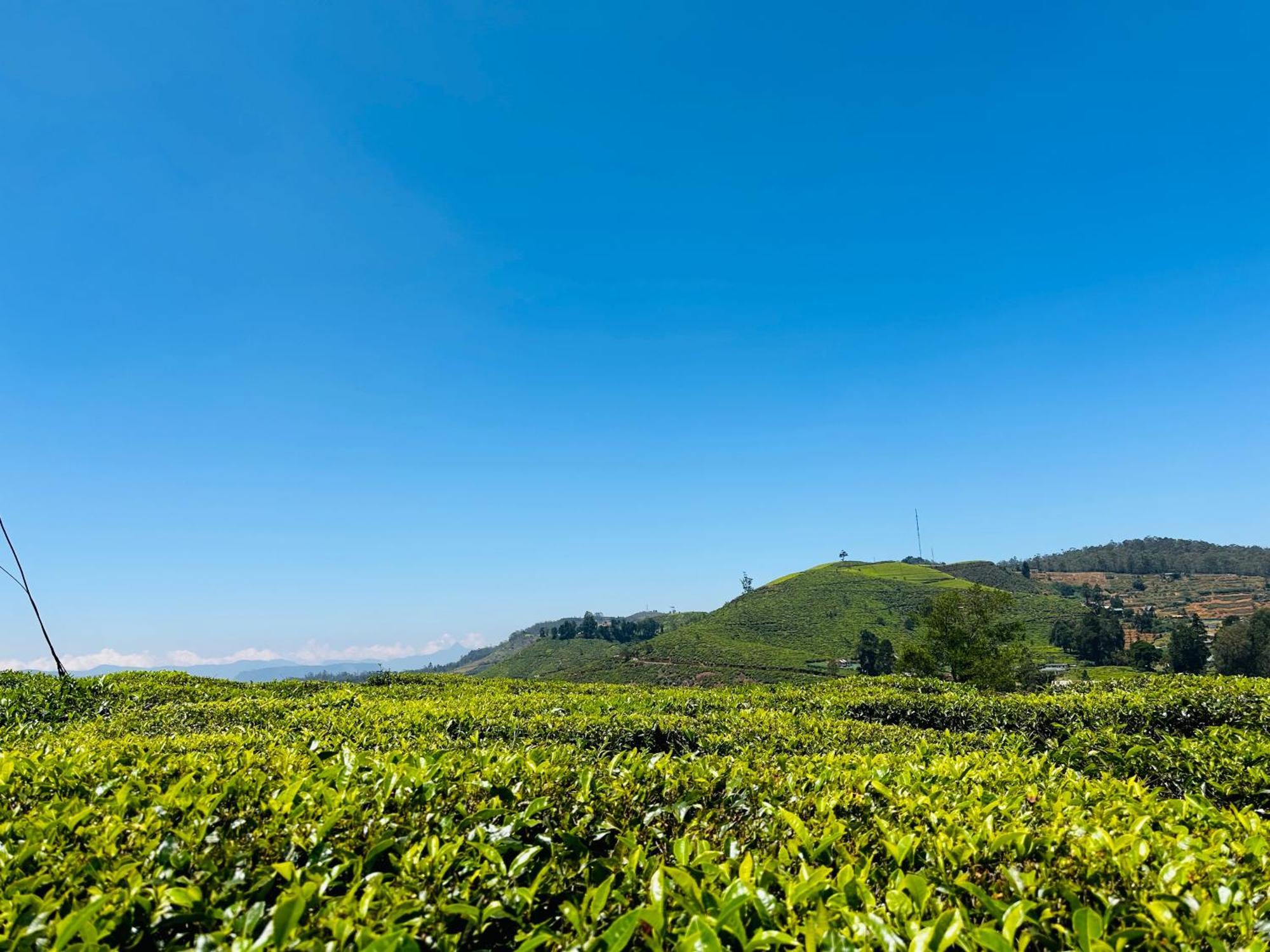 7000 Feet Nuwaraeliya شاليه *